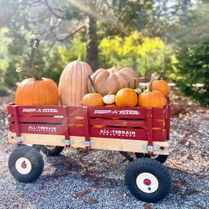 Pumpkins