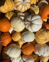 PumpkinMix